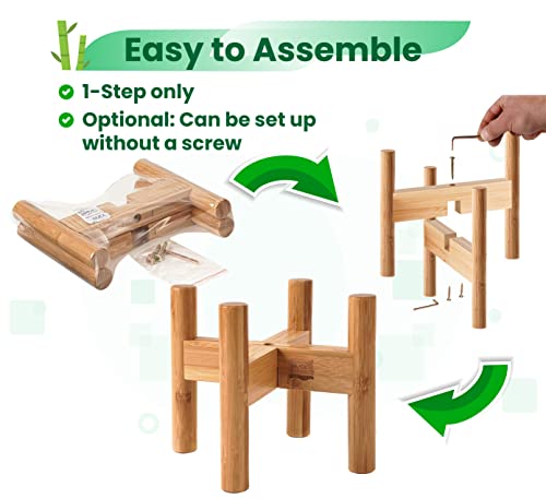 Dog Feeder Bowl Stand for Small to Medium Dogs - Adjustable Width Fits 6 to 8 Inches Bowls, Holder for Raised Elevated… - Image 8