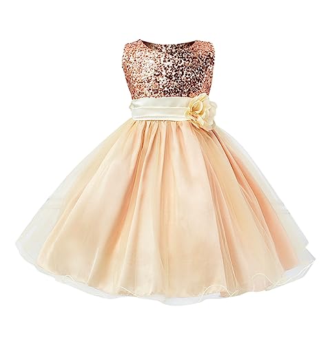 Girl Bridesmaid Pageant Dress Toddler Baby Formal Lace Long Dance Dresses Kids Tulle Tutu Skirts Easter Clothes