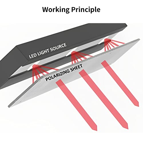 Selens 2 Stück Polarisationsfolie, 20 x 30 cm, Selbstklebend, Linearer Polarisationsfilter für Bildschirm, Kamera und Physikunterricht