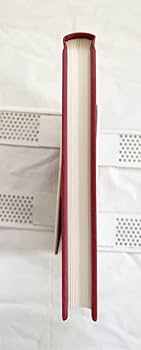 41ii4XNVLsL._AC_UF350,