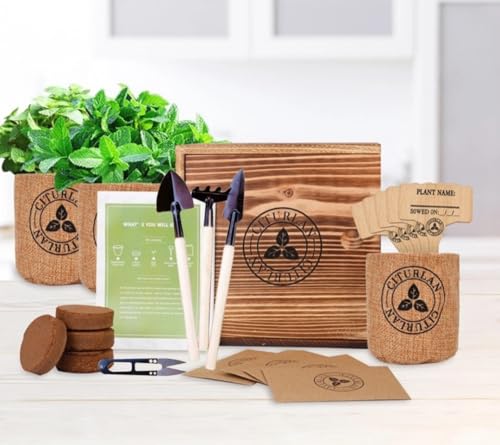 FAMILY GARDEN – Kit de Cultivo de Hierbas Aromáticas | Semillas de Perejil, Albahaca, Cilantro y Menta | Incluye Herramientas de cultivo y Guía Especializada en Español Online | Ideal para regalo.