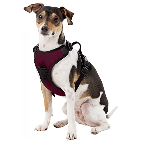 Littlearth 520172-AVLN-M Colorado Avalanche Nhl Front Clip Pet Harness thumb #2