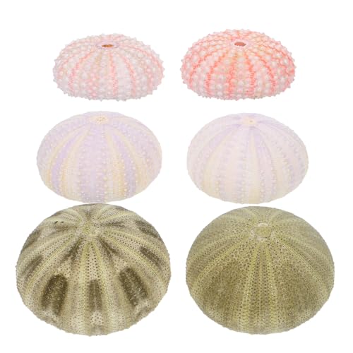 WEKADRIN 6 Piezas de Adornos para Acuario Erizos de Mar y Conchas Naturales Decoración Artesanal Hecha a Mano Colores Variados Adecuado para Peceras y Manualidades Color Color Aleatorio