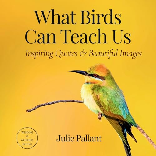 What Birds Can Teach Us: Inspiring Quotes & Bea... 0645347604 Book Cover