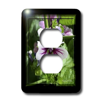 2 prises de courant plaque murale 15,2 cm Maulva Flower multicolore - 3