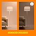 WiZ LED Smart Light Bulbs, Sunset to Sunrise Automation + Motion Detection + Control with Voice or App, Full Color A19 60W 800LM E26 Indoor, Matter Compatible - 1 Pack