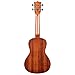 Kala KA-15 Series Satin Mahogany Concert Ukulele Bundle with Rosewood Fingerboard, Tuner, Gig Bag, Strap & Aquila Super Nylgut Strings – Ideal for Beginners & Players of All Levels, 24 Inches