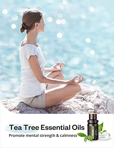 Aosno Essential Oil Top 12*5Ml Pure Aromatherapy Oils Massage Oil, Lavender, Peppermint, Eucalyptus, Frankincense, Lemon, Cinnamon, Rosemary, Lemongrass, Tea Tree, Sweet Orange, Bergamot, Ylang Ylang #TOP6