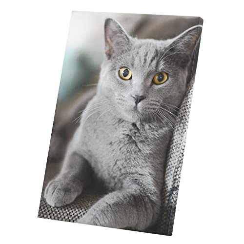 Toile Chat Gris Russian Blue Grand Tableau Déco pour Salon et Chambre Cosy