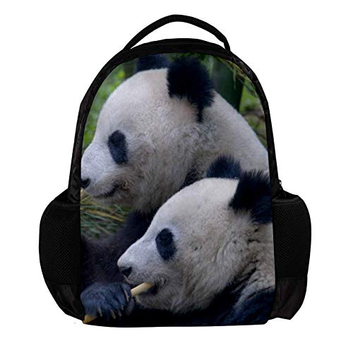 xgT_[ ւxg xg 5 _A~jE  _[ p GhXxg   OC_[ n  ؍  K(80Obg)