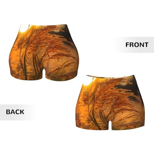 Oats Pattern Sports Shorts, high Elastic Slim Fitness Pants, Suitable for Yoga/Leisure/Daily wear3