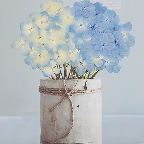 60 Stück Hortensien getrocknete Blumen, echte natürliche gepresste Blumen, Kunstharz, getrocknete Blumen für Harz, DIY, Handwerk, Handyhüllen, dünne Schnittbilder, Duftkerzen, handgefertigte Seife,