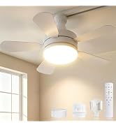 Amazon.co.jp : SUKITEN シーリングファンライト LED 導光板 正逆回転