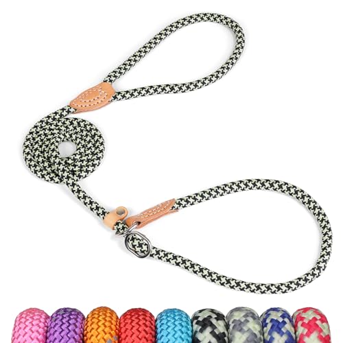 Grand Line Laisse Lasso pour Chien 150 cm, Coulissante de Dressage avec Frein, Réfléchissant Etrangleur pour Chiot, Petits, Moyens, Grands Chiens (10mm, Noir...