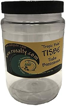 Tisbe Copepods Live Culture 32oz 6K Aquarium Food.