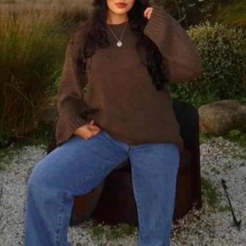 Brown Round Neck Knitted Pullover Women Long Sleeve Loose Sweater Autumn Lady Commute Knitwear Top4
