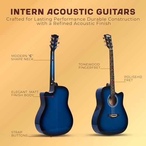 Image of Intern 41 Inch Guitar for Beginners With Truss Rod | musical instrument for adults | Acoustic guitar | Linden wood With Picks. (Blue)