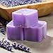 Candlecopia Lavender Vanilla Strongly Scented Hand Poured Vegan Wax Melts, 12 Scented Wax Cubes, 6.4 Ounces in 2 x 6-Packs