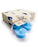 Lemon Blueberry Twist Premium Tealight Candles Bulk Pack - Highly Scented with Essential & Natural Oils - 24 Blue Tea Lights - Beautiful Candlelight - Made in The USA - Fruit & Berry Collection