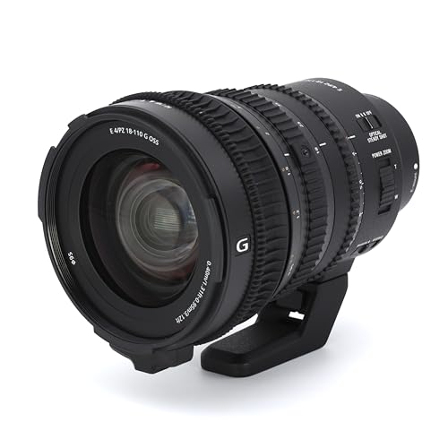 ソニーAPS-C E PZ 18-110mm F4 Gレンズ αEマウント