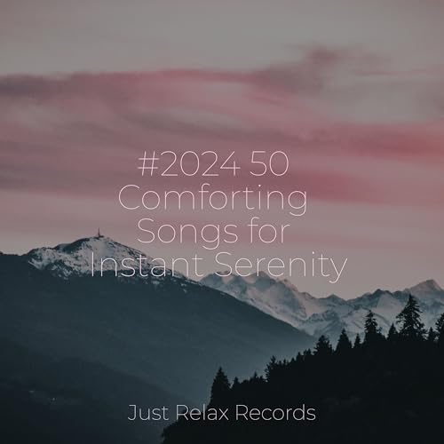 2024 50 Comforting Songs for Instant Serenity by Shakuhachi Sakano on