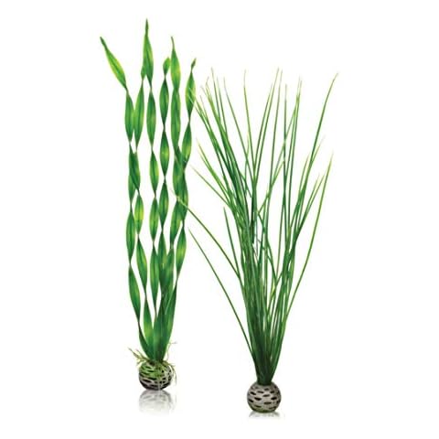 biOrb 46057 Pflanzen Set grün L Cover