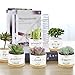 Tarklanda 6 Pcs Thank You Gift Succulent Pots Mini Ceramic Plant Pots with Bamboo Tray Flower Pots Planters for Teacher Coworker Employee Nurse Friends Appreciation, Plants Not Included
