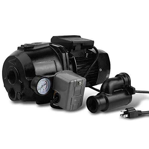 Znnam Well Pump For Deep Well, Deep/Shallow Well Pump 1Hp, Well Pumps With Injector Kit, Deep Well Pump With Automatic Pressure Switch, 110V Cast Iron Well Pump With Pressure Gauge #TOP6