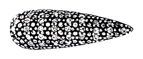 Pilgrim 665-004 Pilgrim 665-004