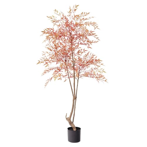 [LJKI] tFCNO[ ^ lHϗtA  L R { 160cm A  CeA lH A 傫 ze rO j JXj | ou[ Ղ bh 蕨 v[g Mtg zj