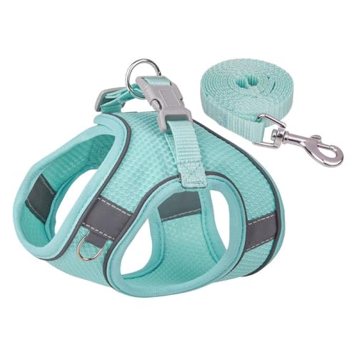 grooblue  n[lX [hZbg ^ ^ Lp ʋCbV Ȃ y EȒP h~ ˕t  Up 킢  (~gO[ M)