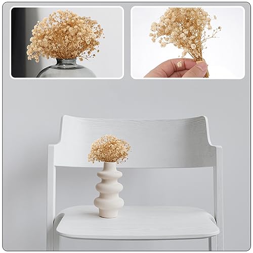 Gypsophila Bouquet Set Flores Secas Mini Blancas 10 Un. miniatura 3