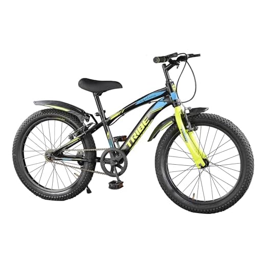 Lifelong 20T Cycle for Kids 5 to 8 Years - Bike for Boys and Girls - 85% Pre-Assembled, Frame Size: 12