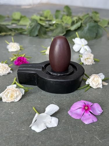 Image of Shivam VASTU AKAL 1.5 inch Original Narmadeshwar Narmada Shivling with 3 inch Narmada Stone Yoni Base Jaladhari (Swayambhu Shivling, Black Flate Jaladhari)