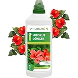 Purgrün