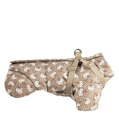 OhȌR[g~nClbNghhCR[g˃Xgbvt,C,2XL