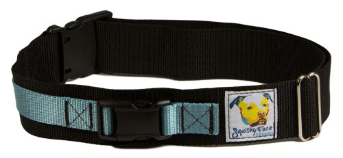 Squishy Face Studio Hands Free Dog Leash Belt - Medium-Large - Ocean Blue