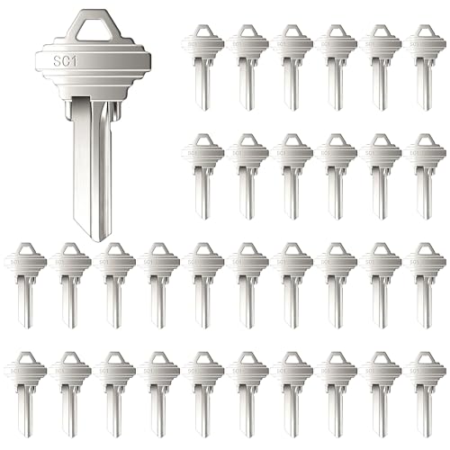 Lesnala 32pcs Uncut Blank Keys Bulk for House Door Lock
