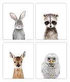 Designs by Maria Inc. Woodland Baby Animals Nursery Decor Art - Set of 4 (Unframed) Wall Prints (8x1