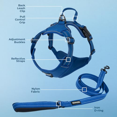 Image of Voyager Dog Harness Dual Leash Attachment No-Pull Control Adjustable Soft but Strong Pet Harness for Medium and Large Dogs with 3M Reflective Technology, Leash Set Royal Nylon, XS (Chest: 13-16 inch)
