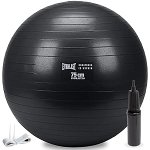 Everlast Anti-Burst Weighted Stability Ball (Available in 55CM, 65CM and 75CM)