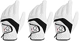 Golfhandschuhe Herren Leder Links Rechts Golfhandschuh Wert 3 Stück, Golf Handschuhe Linke Rechte Hand Nicht Paaren Männer Golfer Rain Griff rutschfest, zum Größe S M ML L XL (L, Links)