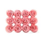maxima calidad MUNDO ETERNO Rosas Rosa 12 Unidades 3-4CM PRESERVADAS