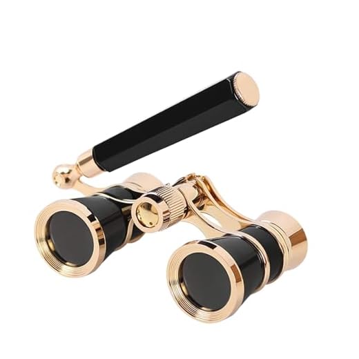 AouloveS Opera Glasses Binoculars 3 X 25 Compact and Lightweight with Built-in Foldable Theater Glasses, Adjustable Handle for Adults Kids Women in Music Concerts and Opera Houses (Black)