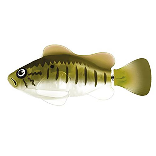 Preisvergleich Produktbild Goliath 32557012 - Robo Fish Bass Flussbarsch