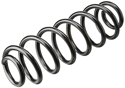 Triscan 8750 29196 - Molla Autotelaio