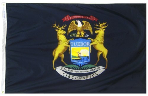 Annin Flagmakers Michigan State Flag – 3x5 Ft Nylon, SolarGuard NYL-Glo, 100% Made In USA