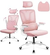 Soontrans Silla de Oficina Ergonomica, Silla de Escritorio con Cojín Lumbar, 3D Apoyabrazos Plega...