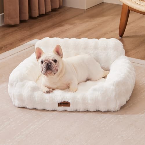 Small Dog Sofa - Orthopedic Cat Sofa Bed for Indoor Cats, Fluffy ...