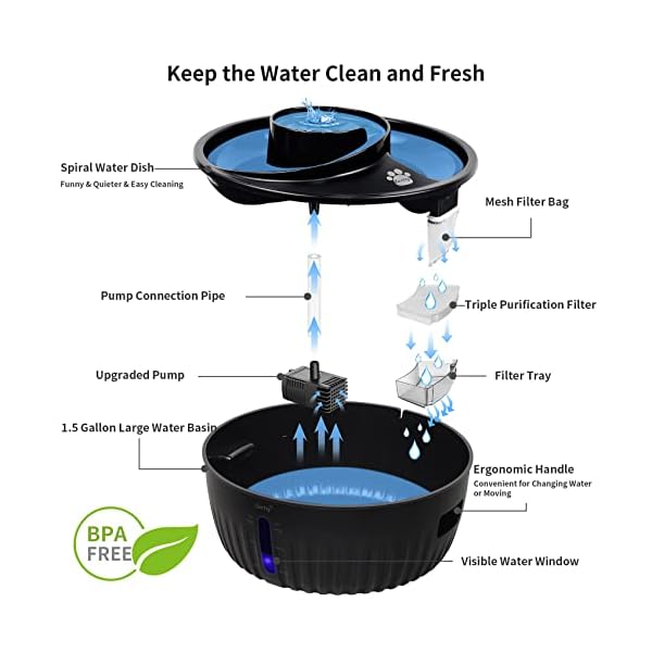 Large Pet Fountain with Two Filter Sets